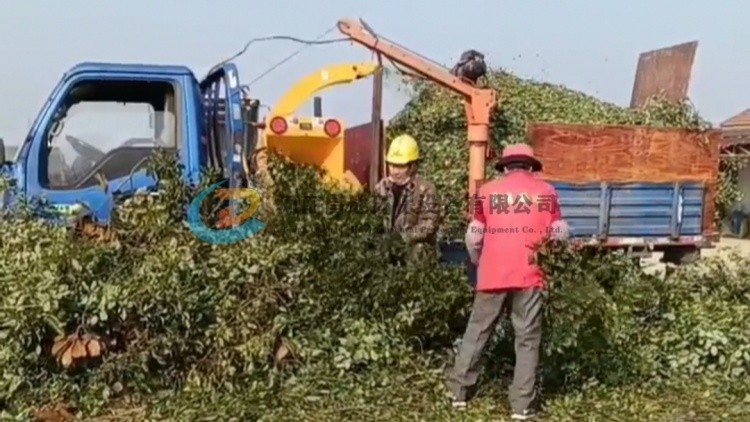 浙江客戶定制小型車載式樹枝粉碎機(jī)，樹枝粉碎機(jī)直接噴入車廂，方便運(yùn)輸！